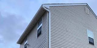 Best Siding for Commercial Buildings  in Trinidad, CO